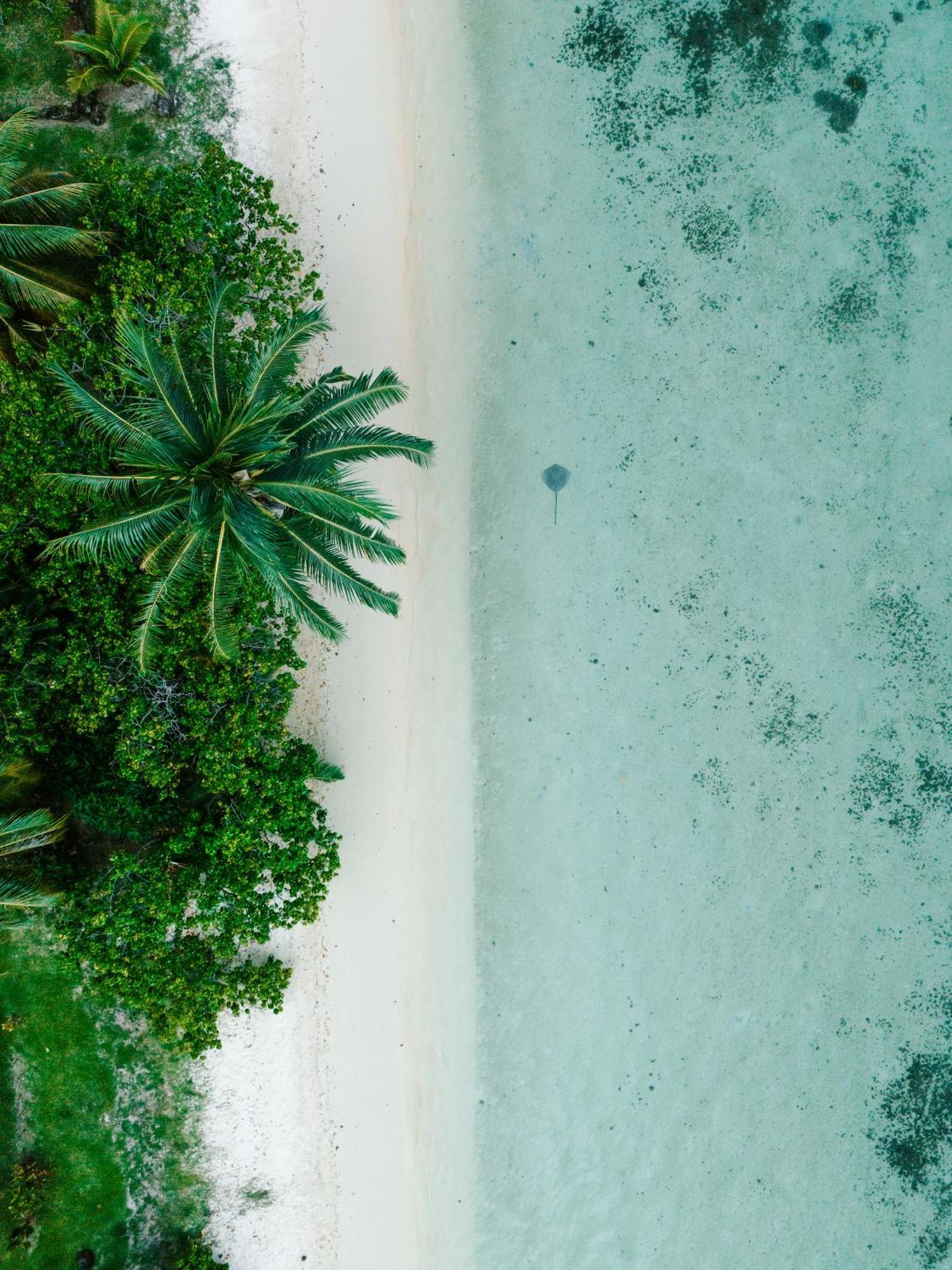 Niu Beach Hotel Moorea Εξωτερικό φωτογραφία