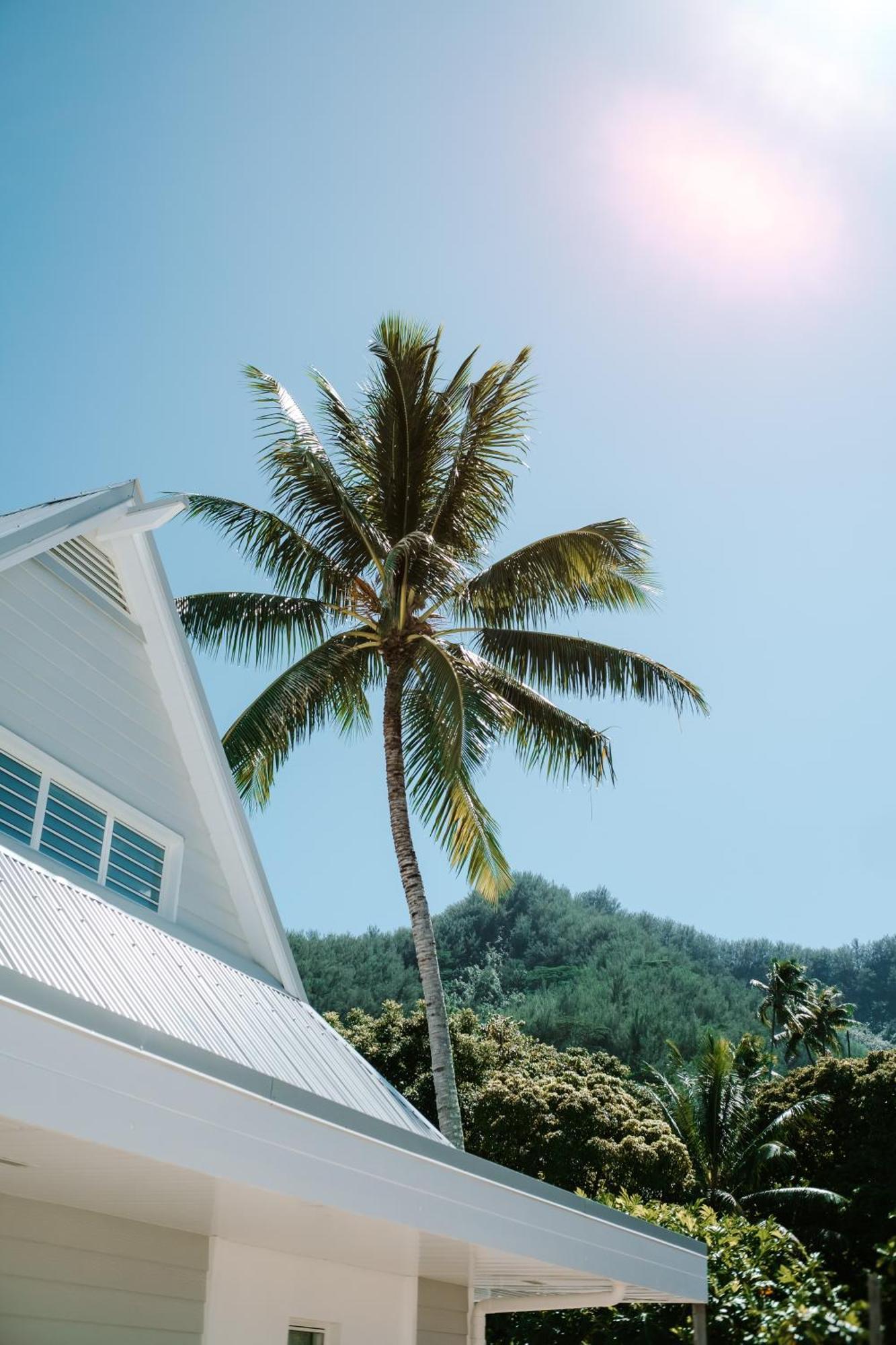 Niu Beach Hotel Moorea Εξωτερικό φωτογραφία